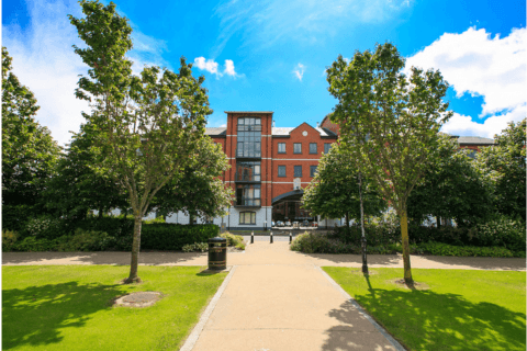 MTS Brighton